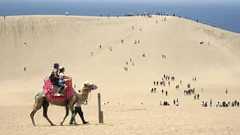 「ジェンダー平等」全国1位は、2年連続でまさかの鳥取県庁 秘密は元知事が30年前に始めた“種まき”にあった | 47NEWS