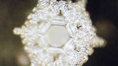 『『水は答えを知っている』が入試問題に採用されました』