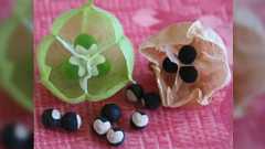 【夏休み子ども科学電話相談 7/22】「ネコに話しかけたら、ネコにはニャーと聞こえるんですか?」想定外の質問に先生も四苦八苦