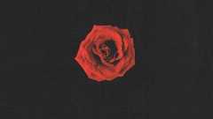 福山雅治主演、ガリレオシリーズの金字塔『容疑者Xの献身』! 完全犯罪とその裏に隠された愛の物語 | ダ・ヴィンチWeb