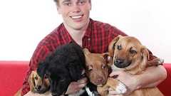 平昌五輪・アメリカ代表、韓国の犬工場から90匹を救出!「文化は残酷な行為と犠牲の上に成り立つべきではない」 : はちま起稿