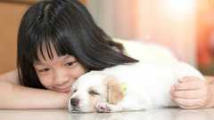 犬の口腔内細菌が人の幸福度を高める 移植実験で判明した驚きの機能 | Forbes JAPAN 公式サイト(フォーブス ジャパン)