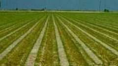 活断層の上の原発は稼働してはいけない理由