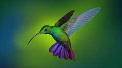 あらゆる「Linux」ディストロをブレンドした「blendOS」--柔軟性が高く美しい仕上がり