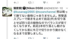 【悲報】アホ「撮り鉄してたら熊に遭遇したので牛刀で反撃して、前足切り落としてやった」 : いぬねこ動物集会所