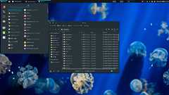 仕事用のPCをMacからThinkpadに変えてUbuntuを入れた - PartyIX