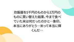 炊飯器を5千円のものから3万円のものに買い替えた結果、今まで食べていた米は何だったのかと…象印、本当にありがとう…米って本当に輝くんだ…