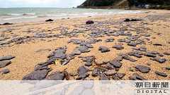 油状固まり7キロ、鹿児島・宝島に タンカー事故関連か:朝日新聞デジタル