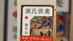 源氏物語の解釈本に「貴族の娘が財と地位を失うと荒屋でぼんやり過ごす羽目になるに至る考察」があって面白い 「末摘花の話だ」と気づくヒトも