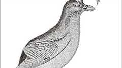 Serverspecの作者がつくる、あるひとつのOSS文化 - 書評『Serverspec』 - Kentaro Kuribayashi's blog