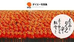 ダイエー写真集