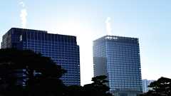 軽率に会社を設立してみた