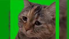 米農家さん「今まで赤字だったのに、なぜコメを作り続けていたのですか?って聞かれるが "そこに田んぼがあるから" としか言いようがない」「田んぼには一回休みは通じない」