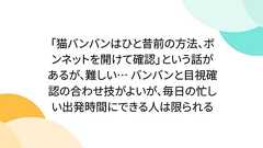 「猫バンバンはひと昔前の方法、ボンネットを開けて確認」という話があるが、難しい… バンバンと目視確認の合わせ技がよいが、毎日の忙しい出発時間にできる人は限られる