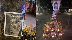 街で愛された猫がロボタクシーにひかれて死亡し地元民の反Waymo感情が爆発