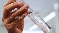 フランス連続レイプ事件、容疑者が双子でDNA判別できず 写真1枚 国際ニュース:AFPBB News