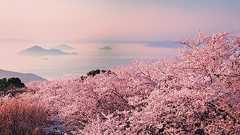 一生に一度は見なきゃ後悔する!四国の感動絶景スポット8選 |じゃらんニュース