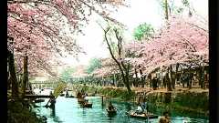 昔の日本の画像を淡々と貼っていく : まめ速