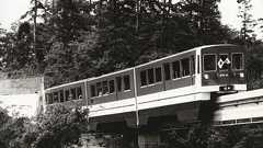 開業後1年半で運行休止、ドリームランドモノレールの廃線跡を探索