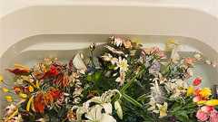 ロウの花の入浴シーン&梅仕事、レシピはジェノベーゼ - temahime’s blog