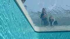 A Fake Pool Makes A Splash All Over The World.