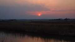 自主避難者の終わらないディストピア - 農と島のありんくりん