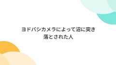 ヨドバシカメラによって沼に突き落とされた人