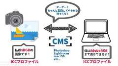 BenQのモニターをハードウェアキャリブレーションしてPhotoshop、Lightroomで活用する方法【Palette Master Elementの使い方】