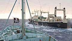 日本の捕鯨船に、環境団体が「攻撃」→乗組員2人ケガ…南極海 : 痛いニュース(ノ∀`)