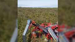 りんごが日常品の海外で作られた"林檎自動収穫機"が機械化農業の極み過ぎて唖然「傷まないの?」の先に違いがあった