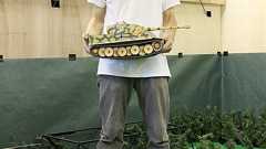 自作リアル戦車戦アトラクション「パンツァーウォリャーズ」を見てきた!!