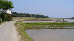 お前ら外出てみろwwww