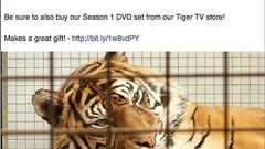 Facebook、“宣伝くさい”投稿のニュースフィード表示ランクを下げるアルゴリズム変更