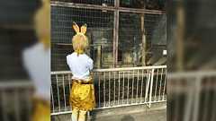 「けものフレンズ」コスプレ批判に対する異論まとめ