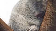 10年間悩んでいた昼食後の睡魔問題を解決する為にした、たった一つの事