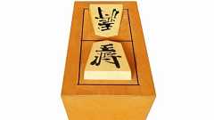 究極の初心者向け「2マス将棋」発売 愛好家考案