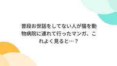 普段お世話をしてない人が猫を動物病院に連れて行ったマンガ、これよく見ると…?