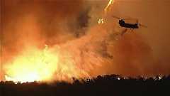 「原爆を落とされた後の広島のようだ」FOXテレビのキャスターがロサンゼルス山火事の焼け跡について表現|FNNプライムオンライン