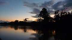 『シャーマンとの出会い。アヤワスカ体験記』