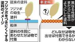 フジツボ戸惑う塗料、船底への付着防ぐぞ 日ペが開発:朝日新聞デジタル