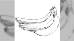 絵が下手な人と描ける人の「よく見る・観察する」の違い