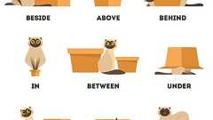 英語の前置詞23個の使い方を完璧に身につける音声トレーニング