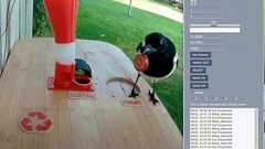 鳥が庭のゴミを集めてくるように調教するマシンが開発される