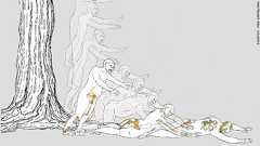 人類の祖先「ルーシー」の死因、300万年ぶりに解明か