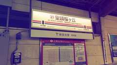 【続・耳をすませば】 聖蹟桜ヶ丘が生んだ破天荒、オレ、天沢聖司 | SPOT