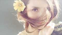 日本橋プロジェクト -大阪のキャバクラ情報発信中-