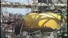 福島沖の魚、汚染レベルは依然高い 米研究者