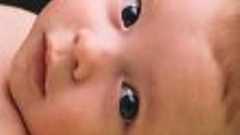 【アゴラ】池田 信夫:無垢な子供という神話 - 『哲学する赤ちゃん』【アゴラ言論プラットフォーム】