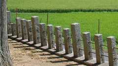 村八分されたと提訴 「あいさつ無視、ごみ回収されず」|社会|地域のニュース|京都新聞