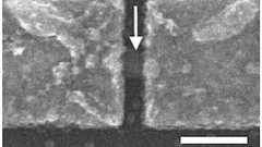 東大、イオンの動きでトランジスタの制御性を最大で100倍向上